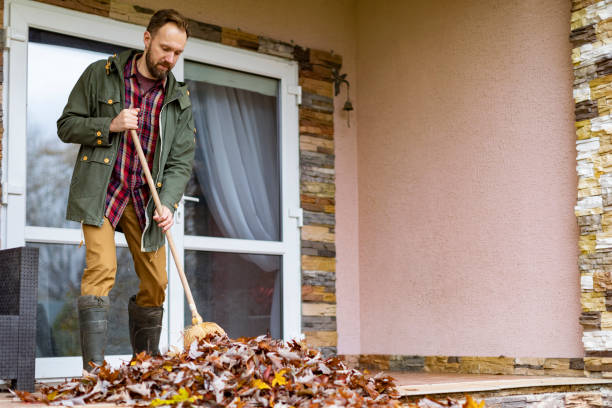 Best Junk Removal Near Me  in Louisvle, IL