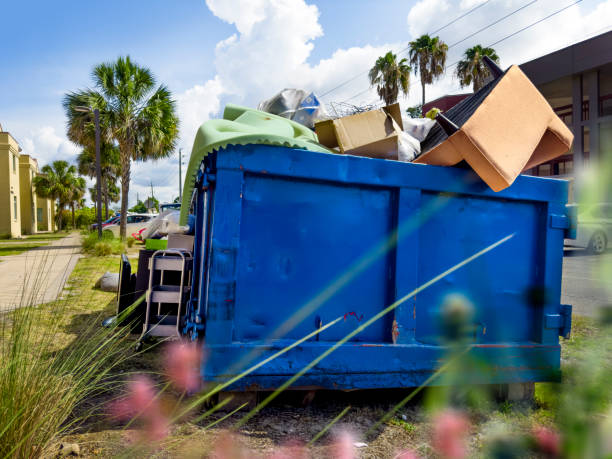 Best Furniture Removal Near Me  in Louisvle, IL